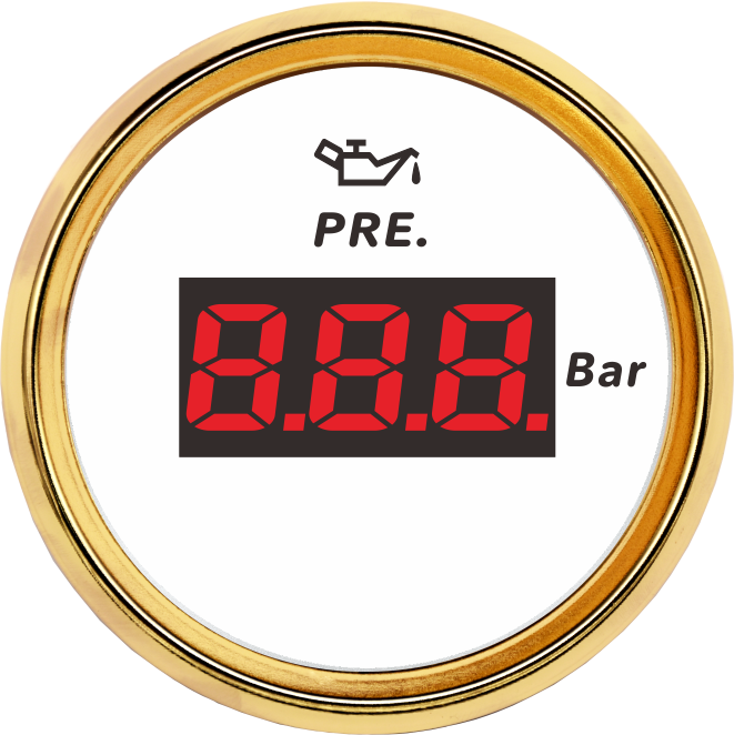 ECPC/ECPS-数显压力表