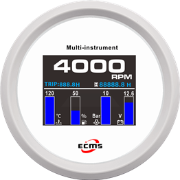 ECP/ECP2-TFT 转速多功能仪表