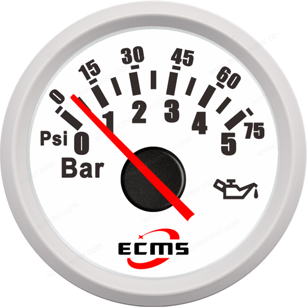 ECC-Pressure gauge 5Bar