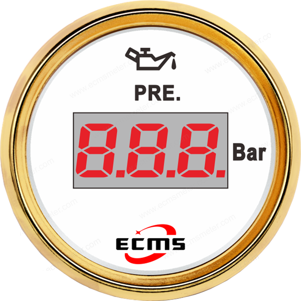 ECP/ECP2-Digital pressure gauge