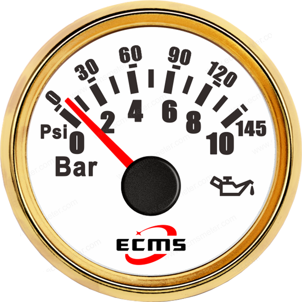 ECP/ECP2-Pressure gauge 10Bar