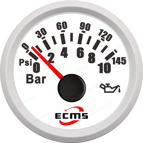 ECP/ECP2-Pressure gauge 10Bar