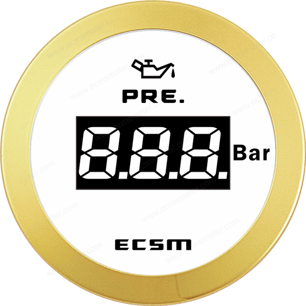 ECT-Digital pressure gauge