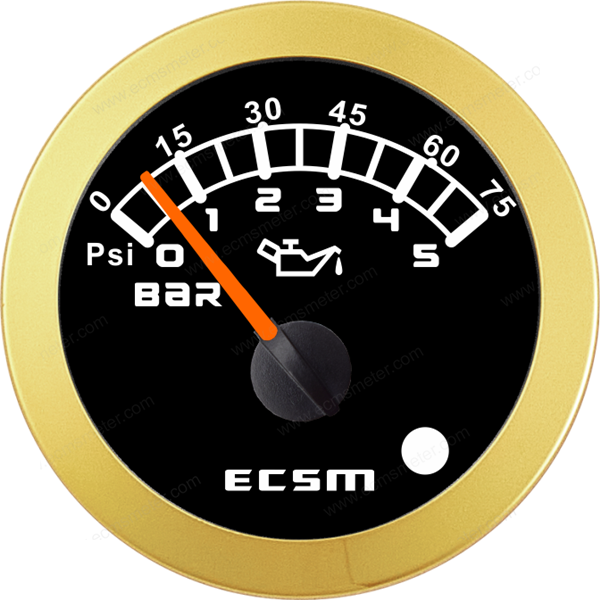 ECT-Pressure gauge 5Bar(with low pressure alarm)