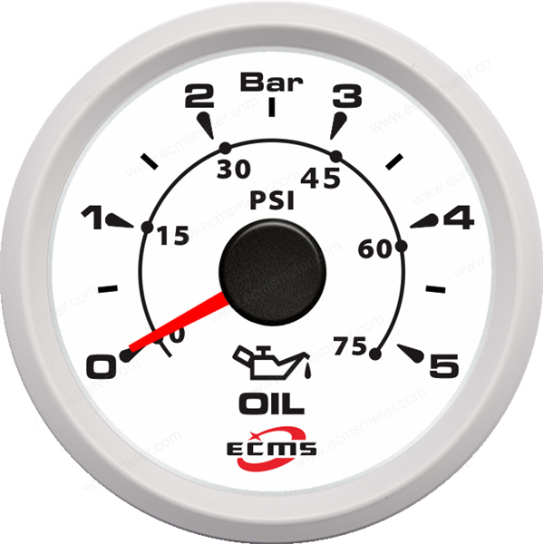 ECH-Pressure gauge 5Bar