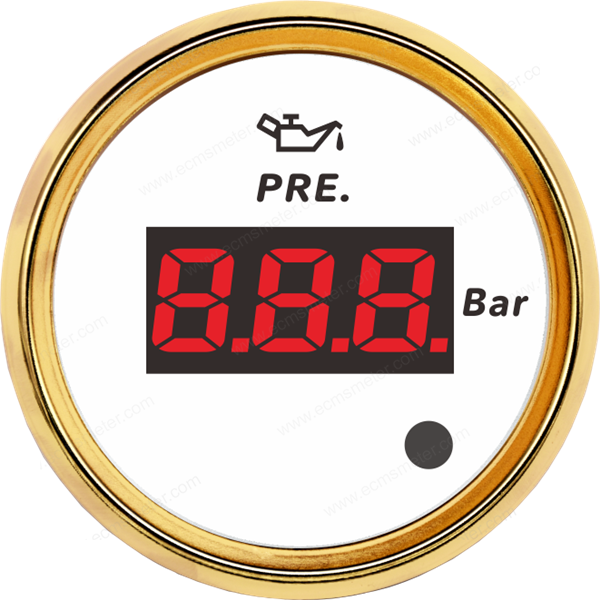 ECPC/ECPS-Digital pressure gauge(with low level alarm light)