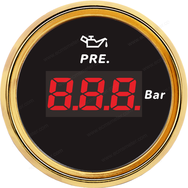 ECPC/ECPS-Digital pressure gauge