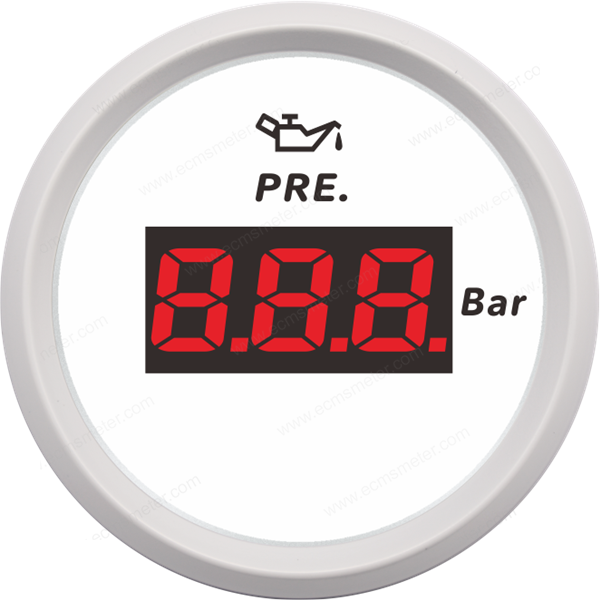 ECPC/ECPS-Digital pressure gauge