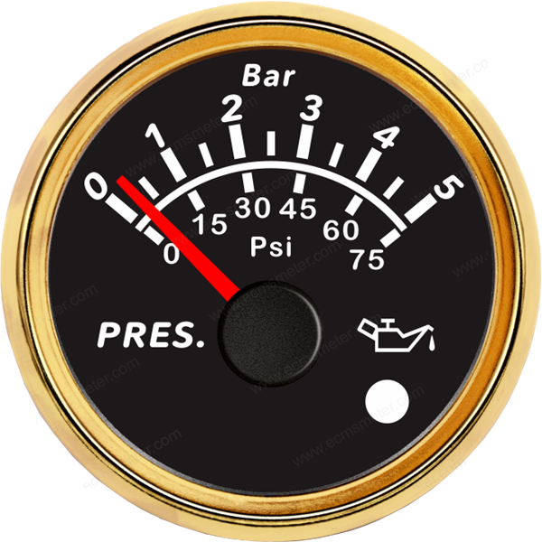 ECPC/ECPS-Pressure gauge  5Bar (with low level alarm light)